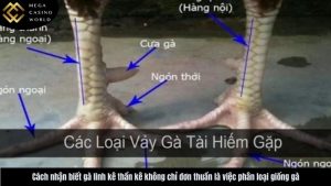 cach-nhan-biet-ga-linh-ke-than-ke