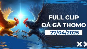 thomo 27