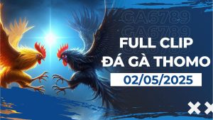 thomo 01 1
