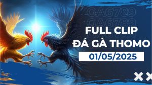 thomo 01